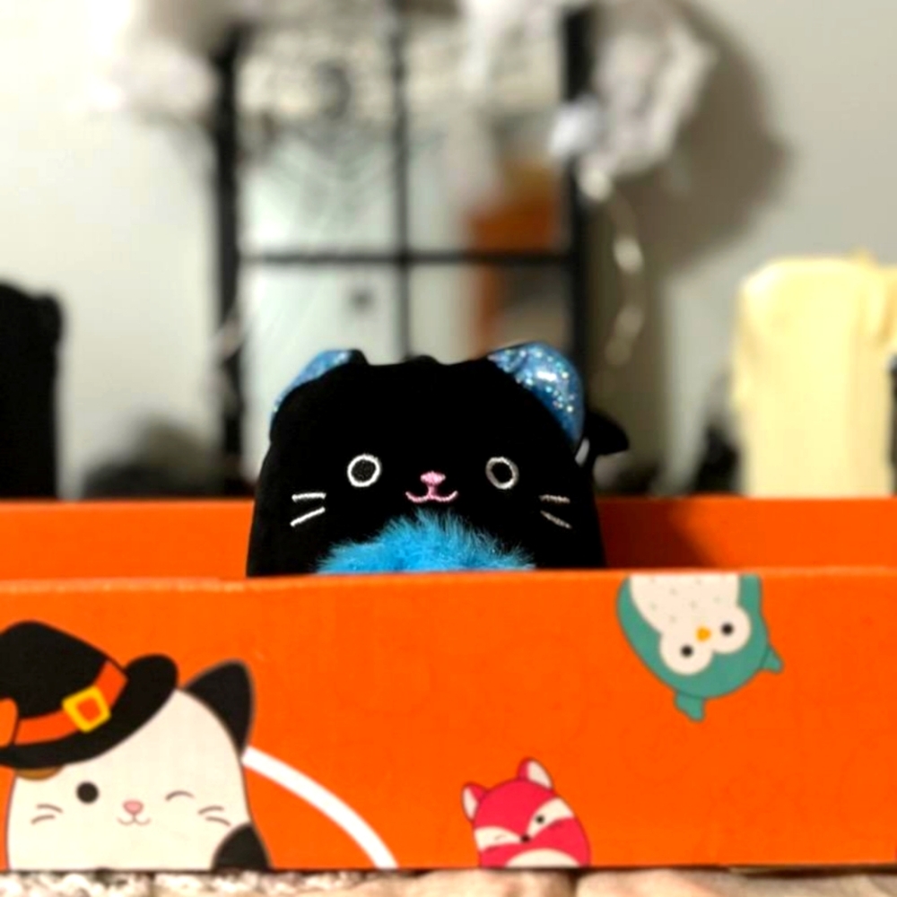 💗* NWT Eponine The Cat 3” 2024 Halloween Squishmallow Clip 🐈‍⬛🎃 *💗